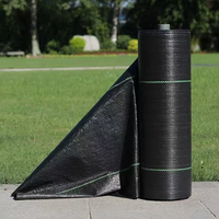 Tissu de couverture de sol en PP noir de haute qualité pour le contrôle des mauvaises herbes, barrière contre les mauvaises herbes, tissage, rouleau pour jardin, serre