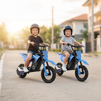Chinese Made 36V 500W 5.2Ah Children Kid Mini Electric Pit Bike Park Recreation Electric Motorcycle