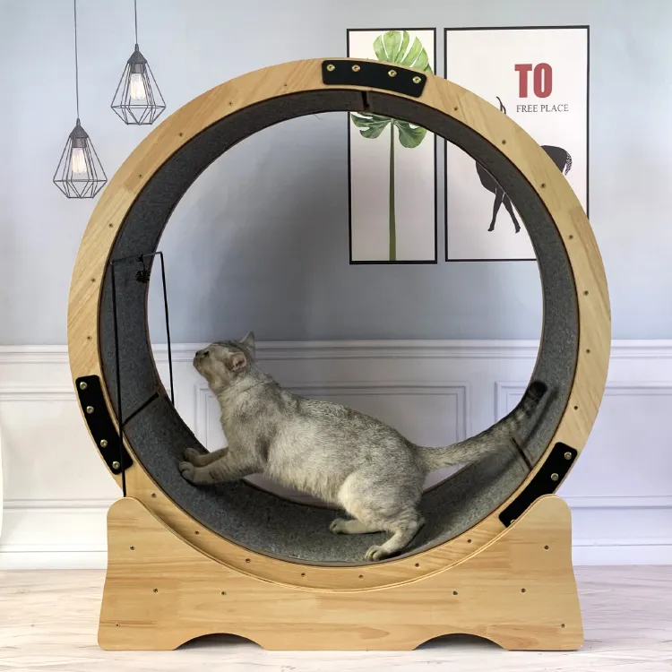 High Quality Pet Treadmill Cat Exercise Wheel Cat Running Wheel Cat Wheel Treadmill