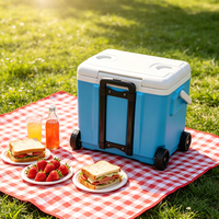 Glacière à roulettes 30L - Grande glacière isotherme portable à roulettes pour l'extérieur