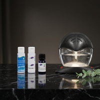 Diffuseur d'huiles essentielles LED électrique en gros, portable, pour la maison, revitalisant d'air et d'eau avec ioniseur, garantie 1 an