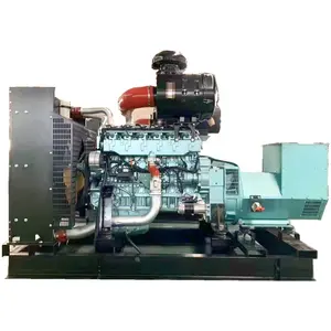 250kw Farm Animal Waste Biogas Generator Power Plant/ Biomass Generator/ Methane Gas Generator Price