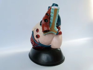 Ecógrafo Yulin YL2-30080 para el Departamento <span class=keywords><strong>de</strong></span> Cardiología del Hospital, para Uso Médico, Modelo <span class=keywords><strong>de</strong></span> Corazón Humano, Aumento <span class=keywords><strong>de</strong></span> 5X - Product Image 4