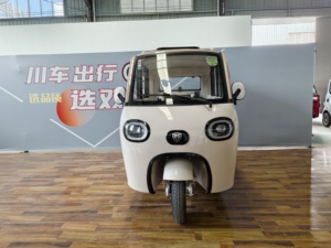 <span class=keywords><strong>Triciclo</strong></span> Eléctrico de 3 <span class=keywords><strong>Ruedas</strong></span>, 1000-1600W, 2.5m, Totalmente Cerrado, <span class=keywords><strong>4</strong></span> Puertas, 2 Asientos, Ecológico, con Frenos de Disco Delanteros - Product Image 5