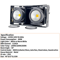 Étanche Ip65 CW WW 2 Eye 2x100w Dmx Led Audience Blinder Light pour Église Scène Concert