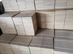 Poignée antidérapante de taille standard recommandée par les entraîneurs de Taekwondo - Product Image 4