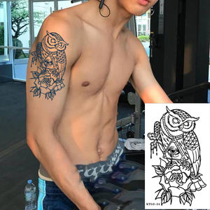 All'ingrosso & Custom Gardenia blu Cool tatuaggio gufi ultimi 15 giorni Semi-permanente temporaneo succo braccio del tatuaggio adesivi - Product Image 3
