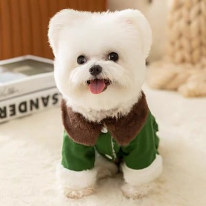 Manteau rembourré en coton pour chat mignon, vert avec col marron, vêtements chauds pour animaux de compagnie pour l'automne et l'hiver - Product Image 2