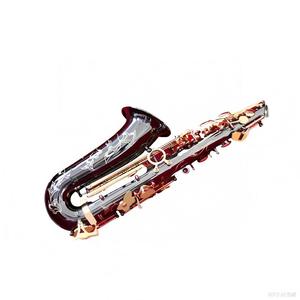 Saxophone alto Eastern Music Eb, corps en laiton laqué noir et or, gravé à la main, pour étudiants débutants, avec étui - Product Image 5