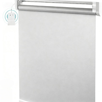 Cortinas enrollables eléctricas dobles con capas transparentes y opacas para privacidad en la oficina en el hogar o en las salas de medios (integradas)