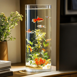 Aquarium en acrylique transparent de type verre pour poissons rouges, petite taille, forme cylindrique, aquarium incassable, table de salon - Product Image 3