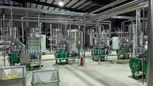 Disco de derramamento de vinho de frutas - Product Image 6