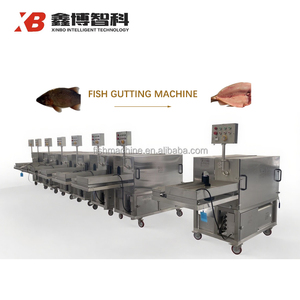 Máquina de limpieza de intestino de pescado de fácil operación/Máquina de escamado y eviscerado de pescado/Máquina removedora de escamas de pescado - Product Image 5