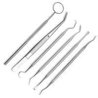 Kit de soins dentaires professionnels outils d'hygiène bucco-dentaire comprenant miroir de nettoyage des dents grattoir à tartre sonde dentaire et pince à épiler