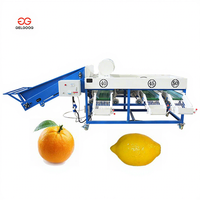 Sorteer Fruit Op Maat Industriële Sinaasappel Citrus Sortering Grader Fruit Limoen Sorteermachine Citroensorteermachine