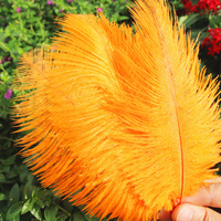 Plumes d'autruche naturelles de 70 cm pour le bricolage artisanal Décoration de fête de mariage et de carnaval Décoration de vase de lampe et panache de pièce maîtresse jaune 40-45cm