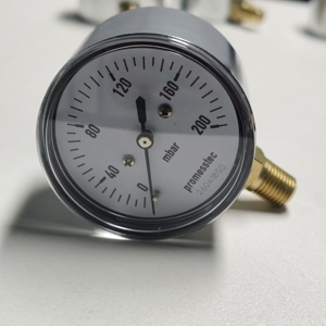 Manometro Digitale Calibrabile Regolabile per Micro Pressione Gas, Misuratore Mbar 0-200mbar in Acciaio Inossidabile - Product Image 6