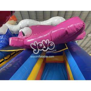 Toboggan aquatique gonflable d'extérieur économique avec piscine, idéal pour parcs aquatiques, vente directe usine - Product Image 5