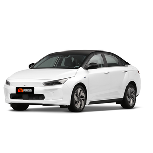 Garde-fou de voitures d'occasion, produit de qualité supérieure, professionnel, et abordable, pour famille, revendeur de voitures à bas prix avec certificat CE - Product Image 1