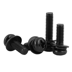 304 Stainless Steel Black Phillips Pan Head Combination Screw M2 M3 M6 With Flat Spring Washer Metric Standard Thread - Product Image 2