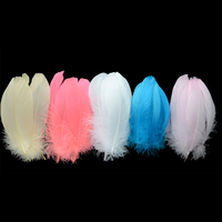 Plume d'oie de citron vert pour Arts artisanat bricolage stylo aile coiffure fête carnaval Costume chapeau cheveux accessoire Halloween maison décor de noël