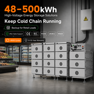 Remise d'usine sur les cellules de qualité A, batteries haute tension 100 kWh 200 kWh, système de stockage d'énergie solaire C&I 50 kW pour projets - Product Image 6