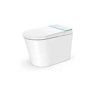 Factory Direct Wholesale Floor Bathroom Wall Mounted Toilet Wc Smart Intelligent Toilet Smart Toilet