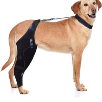 Support de genouillère professionnel pour chien avec matériau réglable en Spandex et nylon Soulagement de la douleur Utilisation quatre saisons-Conrida CD002