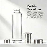 Bouteille d'eau portable en verre borosilicate WEVI 350 ml 500 ml, bouteille à thé 16 oz avec bouchon en acier inoxydable pour usage extérieur