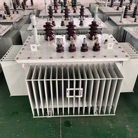 Transformateur hermétique triphasé immergé dans l'huile 100 kVA 10 kV 50 Hz/60 Hz sans entretien pour hôtels monophasé/triphasé