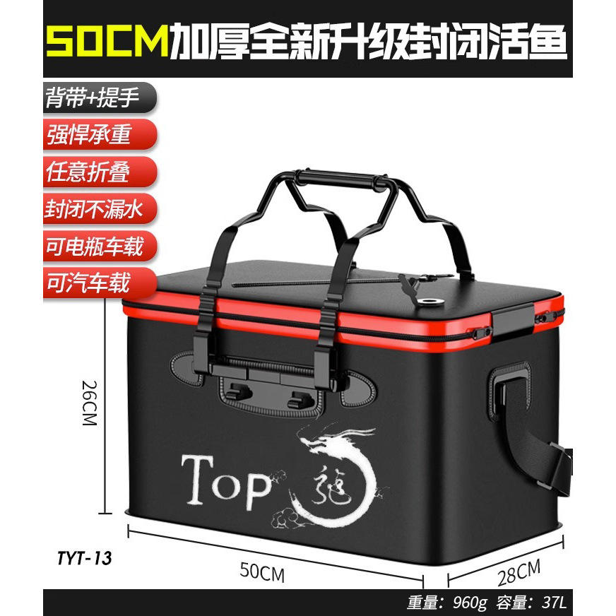 [ดีไซน์ปลาสดในตู้] เรซินขนาด 50 ซม. ปลอดภัยสำหรับรถยนต์