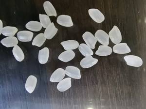 ข้าวเจ้าญี่ปุ่นพรีเมียมจากเวียดนาม |   ข้าวเมล็ดสั้น |   ราคาที่ดีที่สุด |   ถุง 1 กิโลกรัม |   ข้าวญี่ปุ่นสำหรับส่งออก - Product Image 4