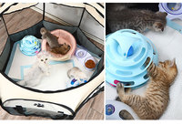 Haute qualité grand hiver chaud chien chenil intérieur extérieur lit pour animaux de compagnie pratique maison tente pour chiens