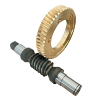Petit module d'engrenage à vis sans fin personnalisé pour boîte de vitesses industrielle, traité thermiquement, usiné CNC, pièce OEM, certifié ISO9001, marque ZK, laiton et acier