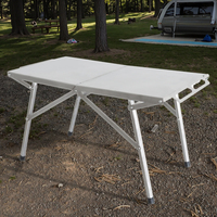 Table de pique-nique de camping en plein air sac de transport organisateur de rangement en maille pour les arrière-cours de plage barbecue fête cuisson Table à rouleaux Portable