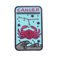 Patchs brodés de signe du zodiaque astrologique rétro personnalisés chenille en PVC à coudre en tissu thermocollant pour cadeaux d'anniversaire Cosplay Boho amusants
