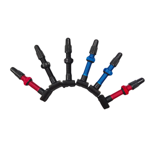 Valve FR16 48mm Tubeless Valve Presta de bicyclette en alliage d'aluminium FV SV - Product Image 4