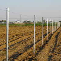 Poteau de treillis de vignoble durable et écologique pour utilisation à la ferme, acier au carbone galvanisé à chaud, 2 mm d'épaisseur, finition lisse, sans bavure