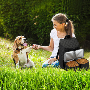 Gıda taşıyıcılar çanta ile köpek seyahat çantası silikon katlanabilir kaseler evcil hayvan sırt çantası tedavi köpek eğitim kılıfı - Product Image 6