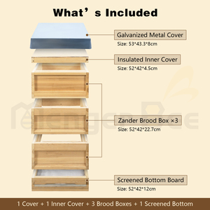 รังผึ้งเยอรมันแบบใหม่ ทำจากไม้สนจีน หนา 20 มม. แบบยังไม่ประกอบ - Product Image 2