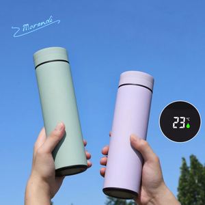 Portable Double Wall Stainless Steel Insulated Hot Vacuum Flasks Sports Led Smart Water Bottle Replace Battery - Product Image 1