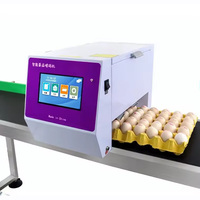 Impresora Tij automática de alta calidad, máquina de inyección de tinta de huevo para codificación continua, fecha de caducidad, máquina de marcado de inyección de tinta de estampado de huevo