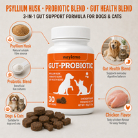 Waylemo Psyllium Husk Probiotic Soft Chews pour chiens et chats, complément alimentaire pour la santé intestinale avec prébiotiques pour animaux de compagnie