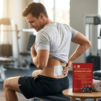 Patch magnétique infrarouge lointain pour soulager la douleur, idéal pour la sciatique, la récupération sportive et l'arthrite (OEM)