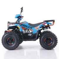 Tao Motor tout-terrain Buggy de plage à quatre roues Double quatre roues ATV adulte 110 personnalisé automatique 12V 5AH Atv 125cc Atv 110cc