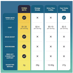 Extracto de Yerba <span class=keywords><strong>Mate</strong></span> en Polvo, Suministro de Fábrica OEM GMP, para Apoyo Inmunológico en Adultos - Product Image 5