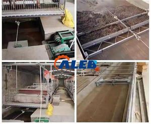 Raspador <span class=keywords><strong>de</strong></span> estiércol <span class=keywords><strong>de</strong></span> gallinero <span class=keywords><strong>de</strong></span> alta eficiencia para aves <span class=keywords><strong>de</strong></span> corral, limpiador <span class=keywords><strong>de</strong></span> estiércol <span class=keywords><strong>de</strong></span> ganado y ovejas, raspador <span class=keywords><strong>de</strong></span> heces - Product Image 3