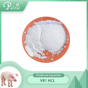 סיטונאי הזנה כיתה ויטמין <span class=keywords><strong>b1</strong></span> thiamine hcl אבקת <span class=keywords><strong>vb1</strong></span> תוספי מזון לבעלי חיים - Product Image 4