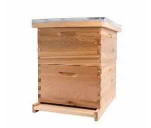 लकड़ी Langstroth छत्रक के लिए मधुमक्खी पालन के उपकरण पाइन/Paulownia लकड़ी 8 या 10 फ्रेम गहरी बॉक्स के साथ बह सस्ते कीमत
