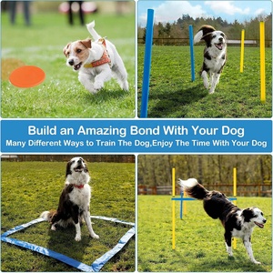 USMILEPET-Équipement de formation d'agilité <span class=keywords><strong>pour</strong></span> <span class=keywords><strong>chien</strong></span>, kit d'entraînement <span class=keywords><strong>pour</strong></span> animaux de compagnie, jeu de plein air avec tunnel d'agilité, anneaux de saut - Product Image 4